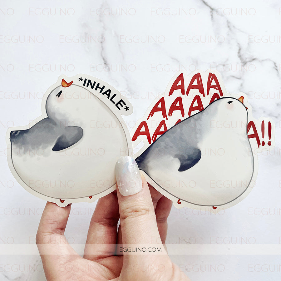 DCB 009-10 Seagull does scream