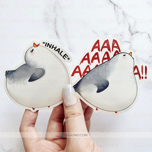 DCB 009-10 Seagull does scream